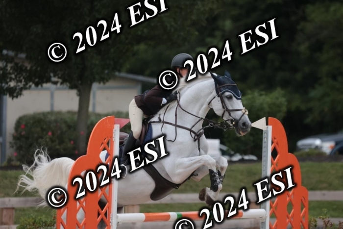 208SC1_1391