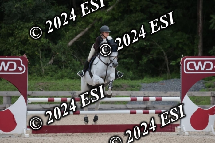 208SC1_1397