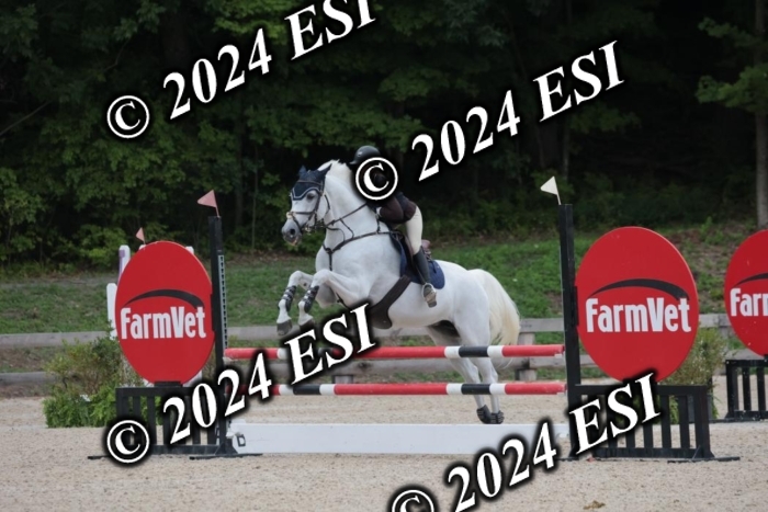 208SC1_1401