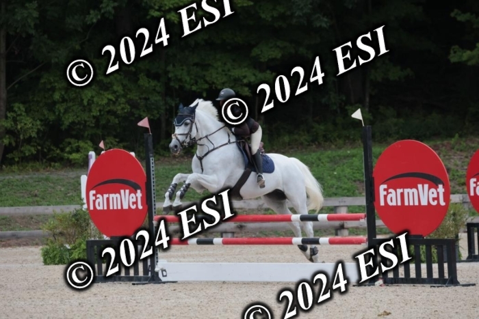 208SC1_1402