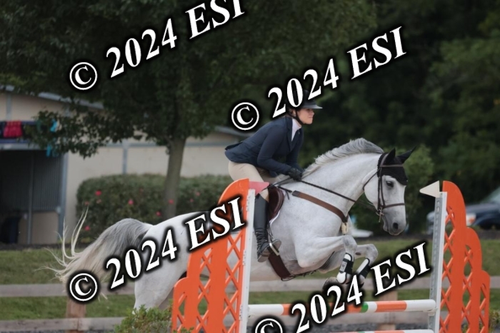 208SC1_1408