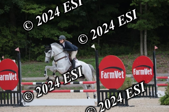 208SC1_1419