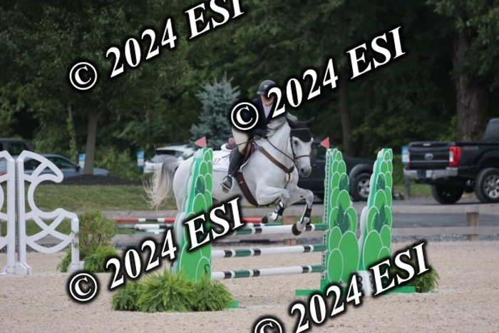 208SC1_1423