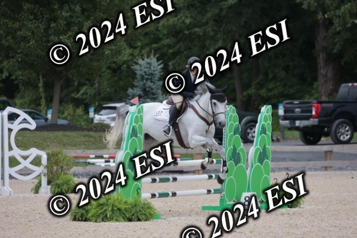 208SC1_1424