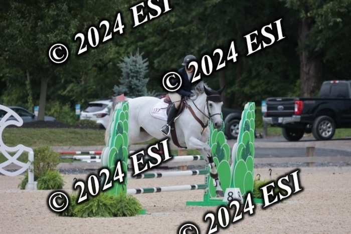 208SC1_1425