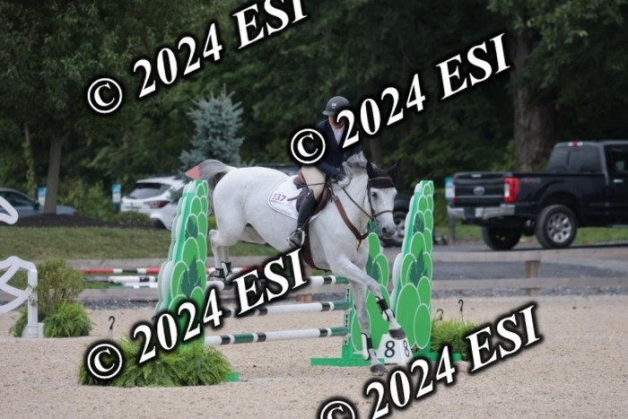 208SC1_1426