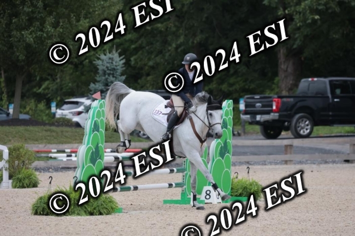 208SC1_1427