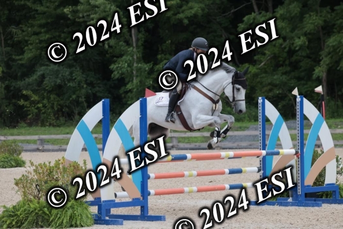 208SC1_1433