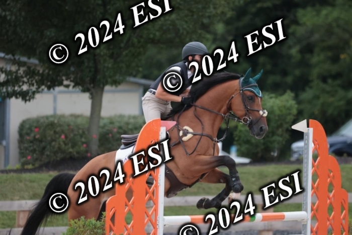 208SC1_1440