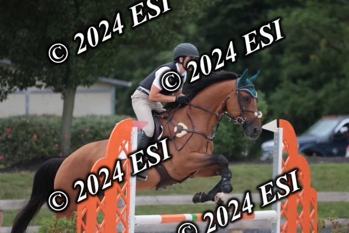 208SC1_1441