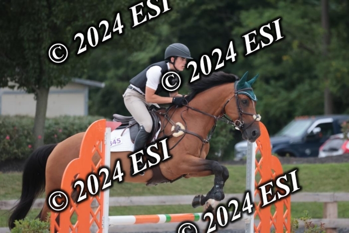 208SC1_1442