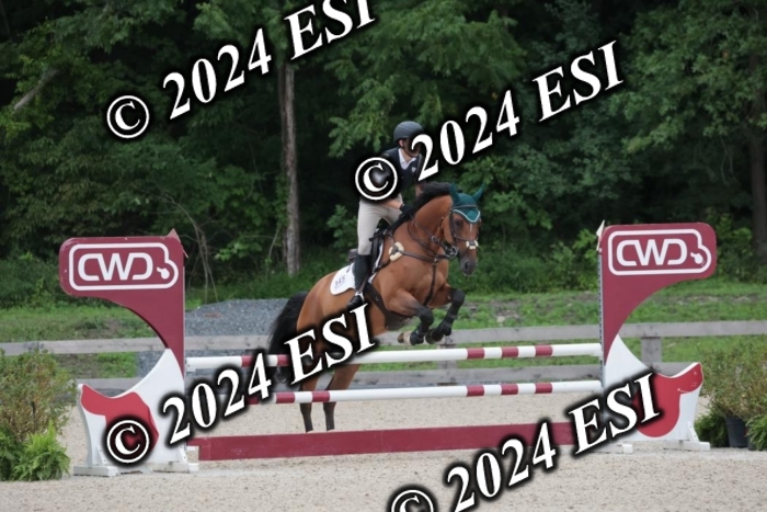 208SC1_1446