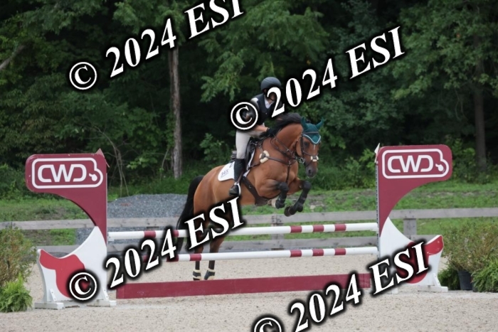208SC1_1447