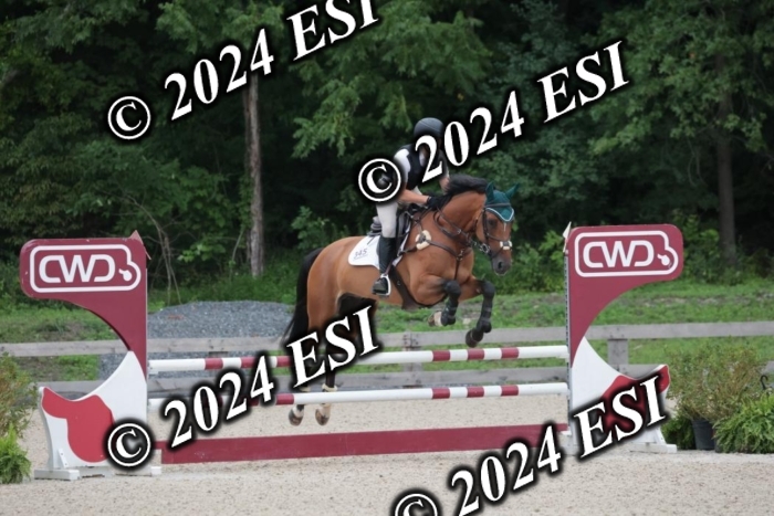 208SC1_1448
