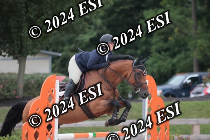 208SC1_1457