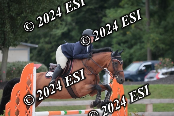 208SC1_1458
