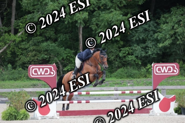 208SC1_1461