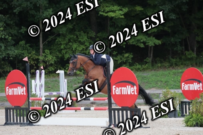 208SC1_1466