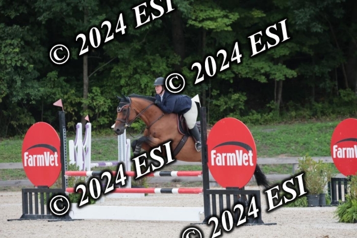 208SC1_1467
