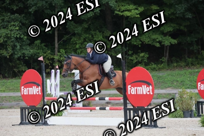 208SC1_1468