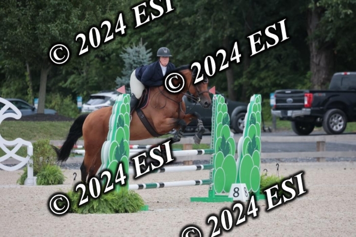 208SC1_1473