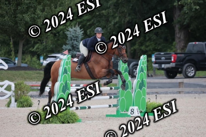 208SC1_1474