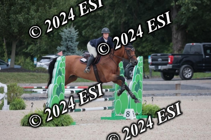 208SC1_1475