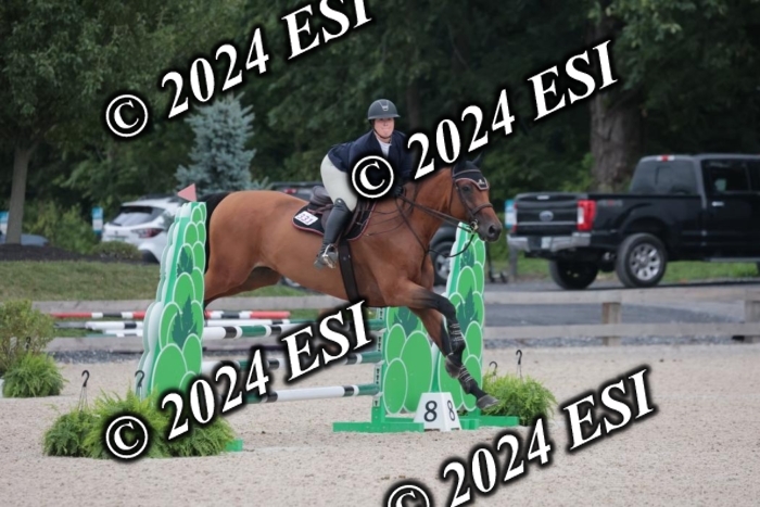 208SC1_1476