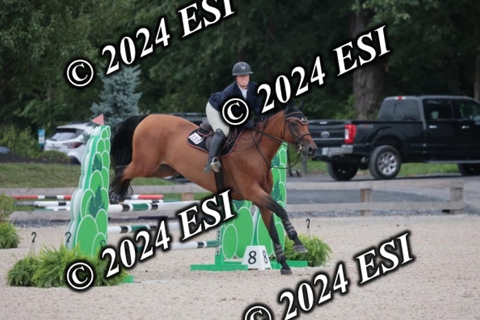 208SC1_1477