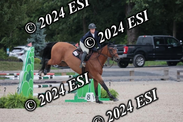 208SC1_1478