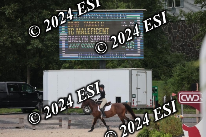 208SC1_1481