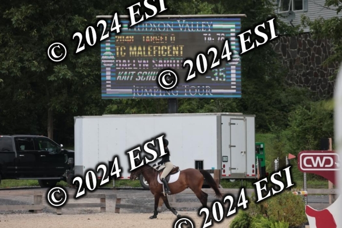 208SC1_1482