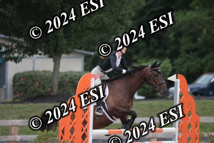 208SC1_1483