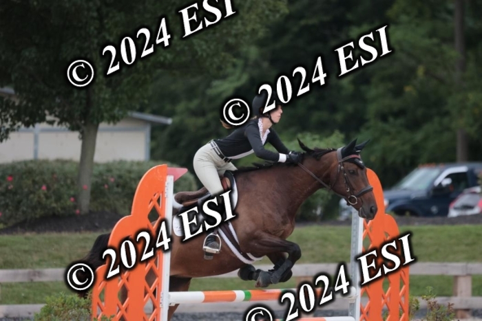 208SC1_1484