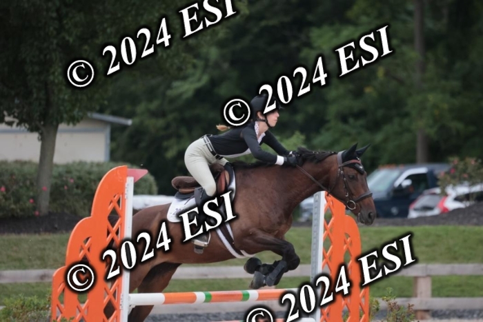 208SC1_1485