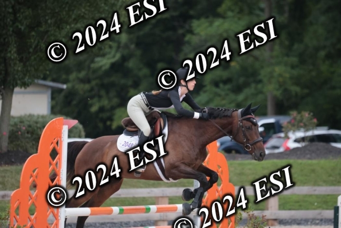 208SC1_1486
