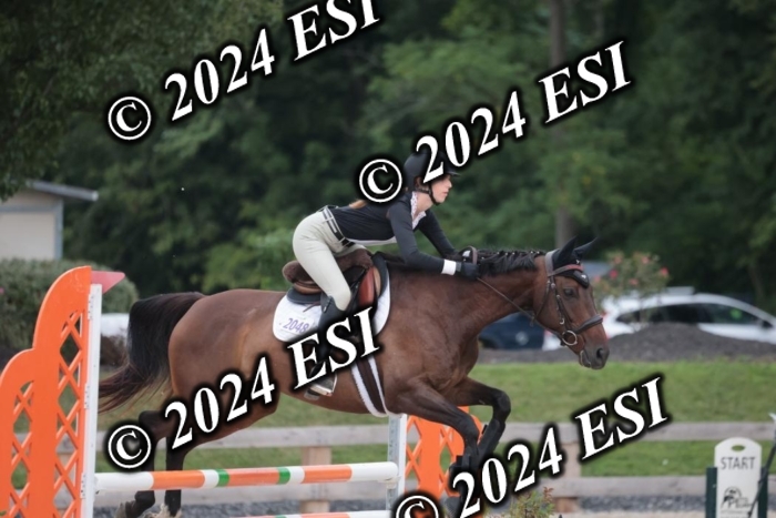 208SC1_1487