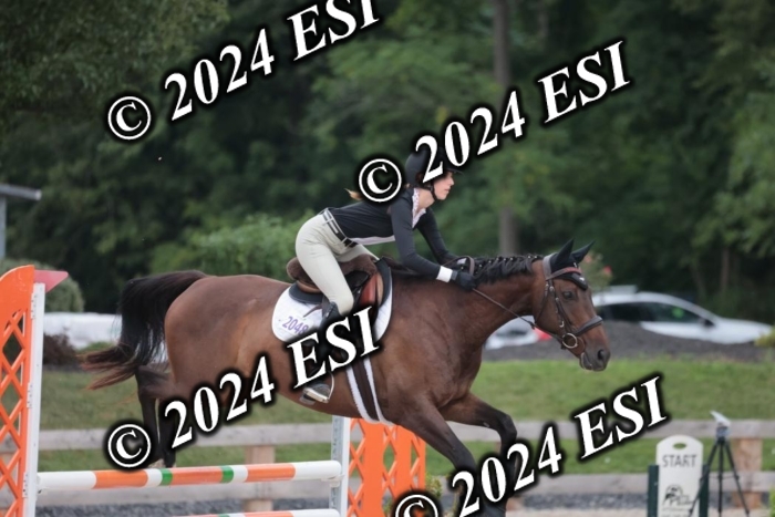 208SC1_1488