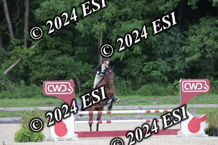 208SC1_1489