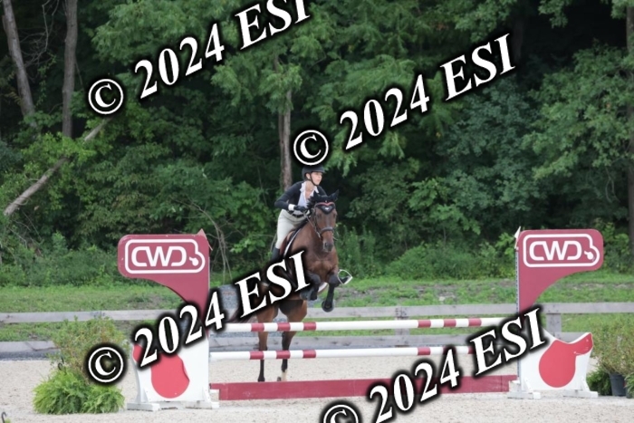 208SC1_1490