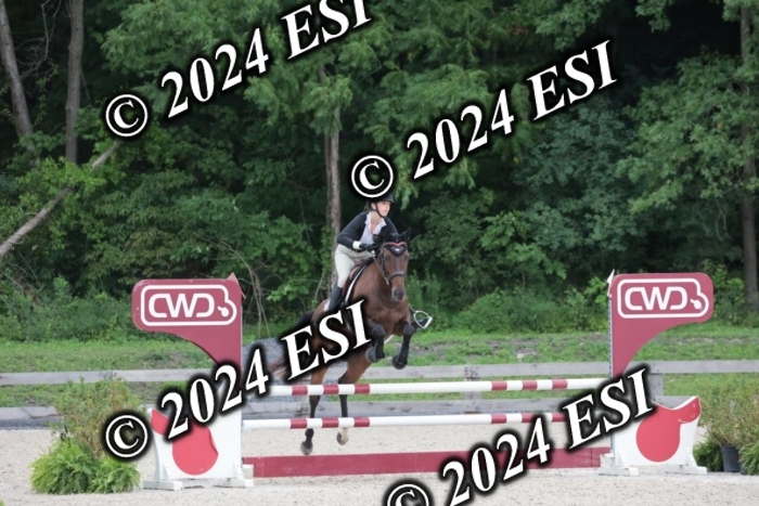 208SC1_1491