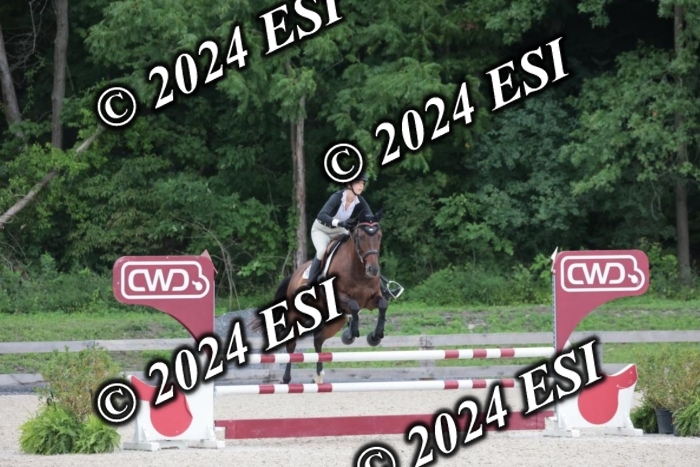 208SC1_1492
