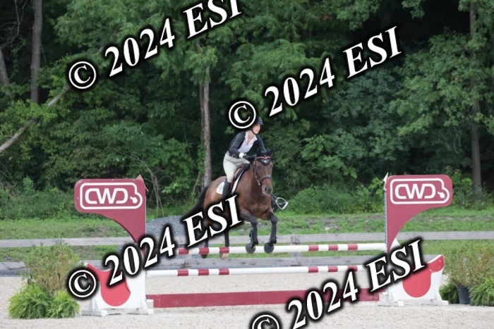 208SC1_1493