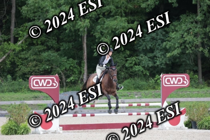 208SC1_1494