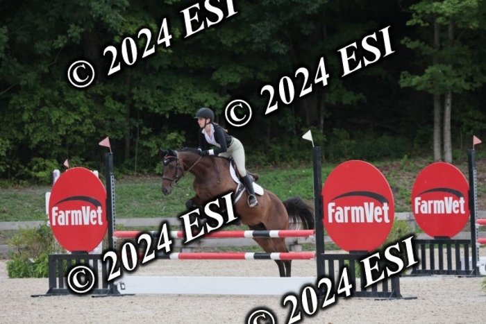208SC1_1496