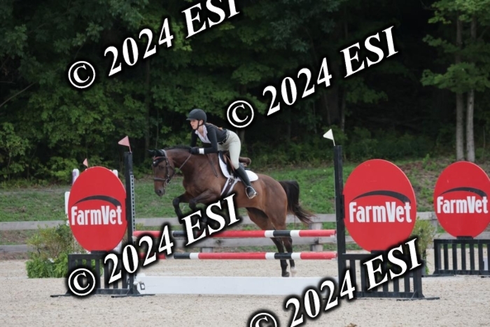 208SC1_1498