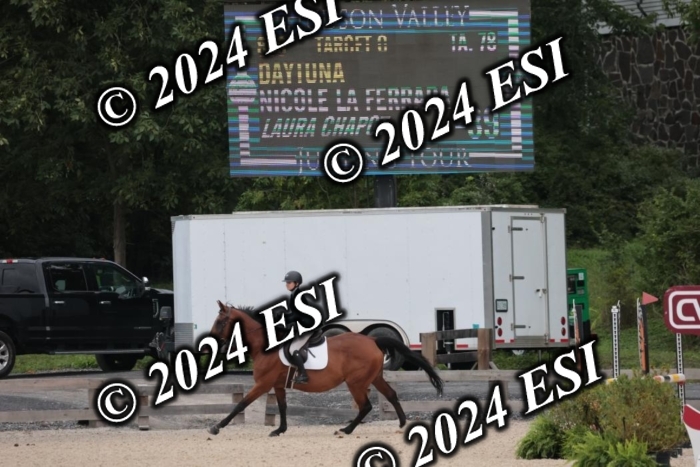 208SC1_1501