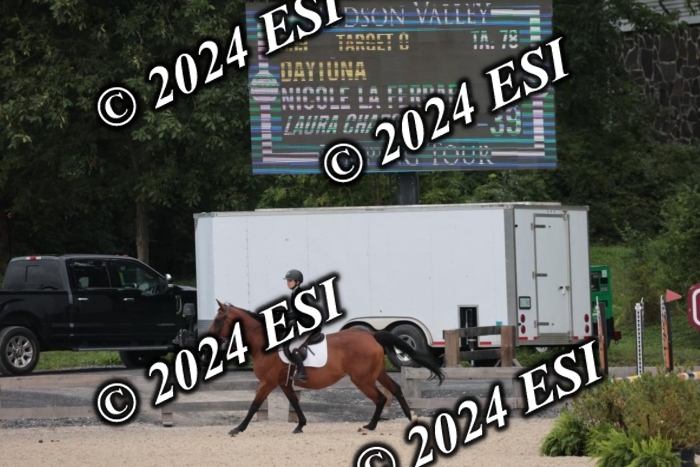208SC1_1502