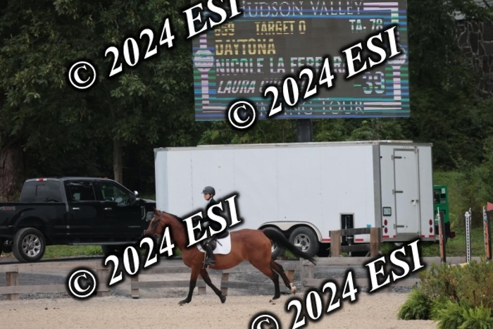 208SC1_1503