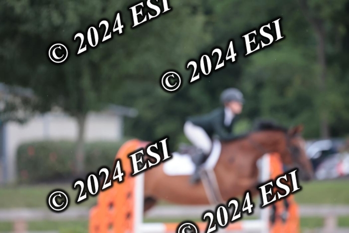 208SC1_1504